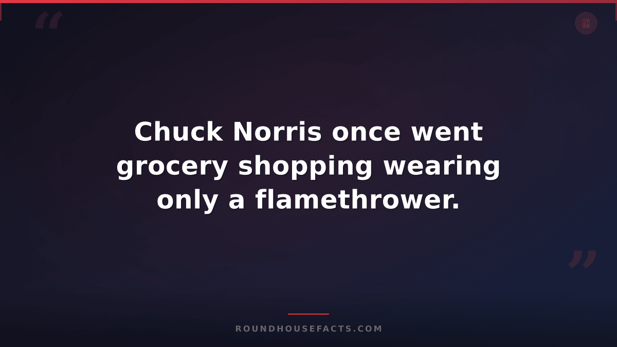 Chuck Norris Fact — Chuck Norris once went grocery shopping wearing only a flame