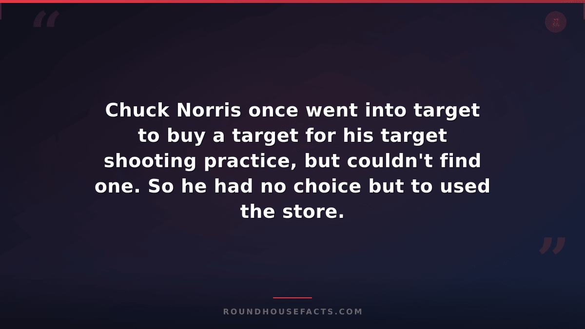 Chuck Norris Fact — Chuck Norris once went into target to buy a target for his t