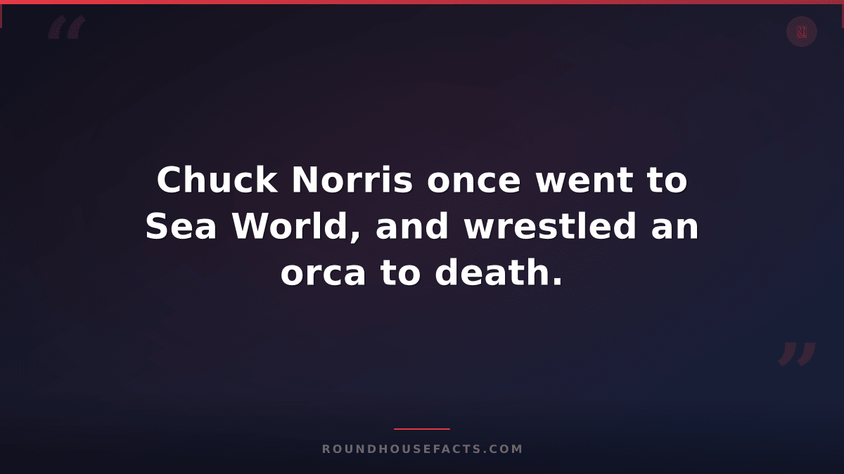 Chuck Norris Fact — Chuck Norris once went to Sea World, and wrestled an orca to