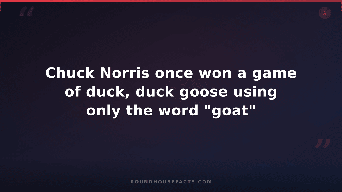 Chuck Norris Fact — Chuck Norris once won a game of duck, duck goose using only