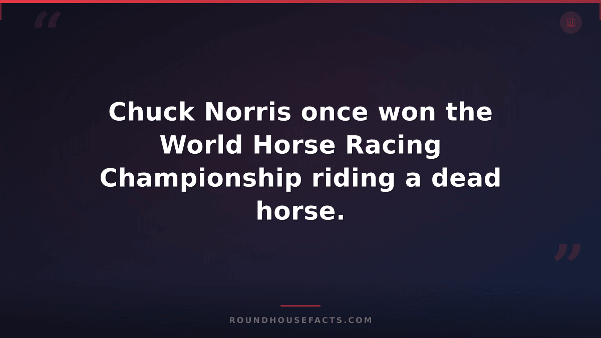 Chuck Norris Fact — Chuck Norris once won the World Horse Racing Championship ri