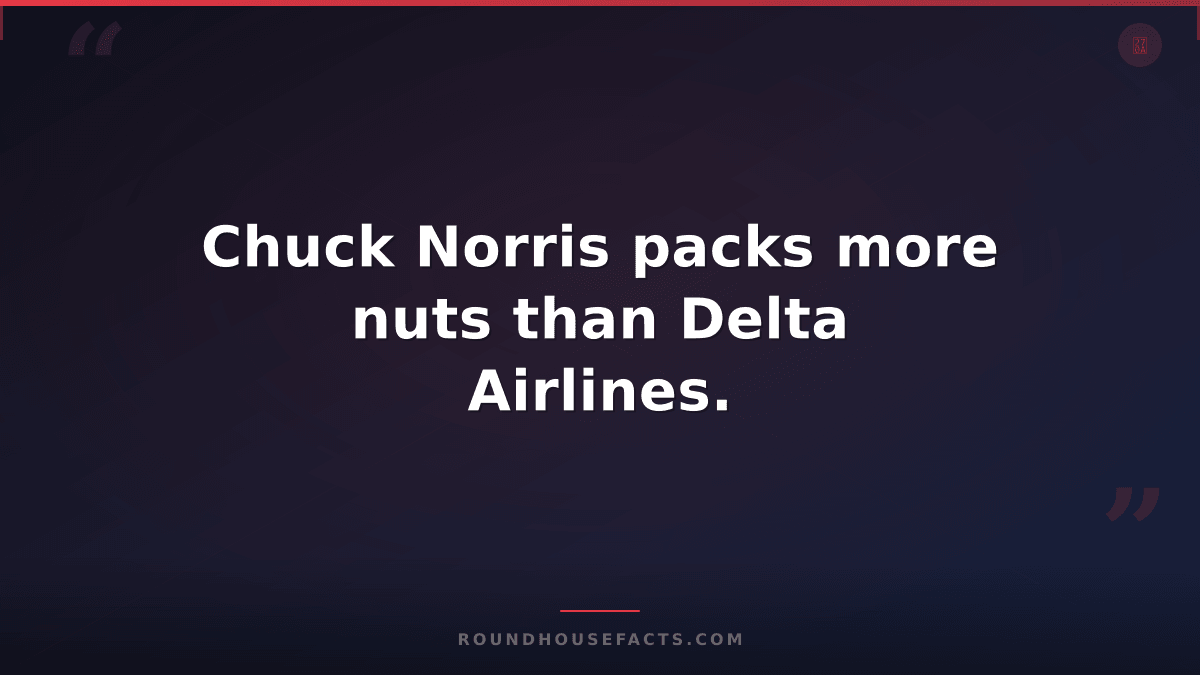 Chuck Norris Fact — Chuck Norris packs more nuts than Delta Airlines.