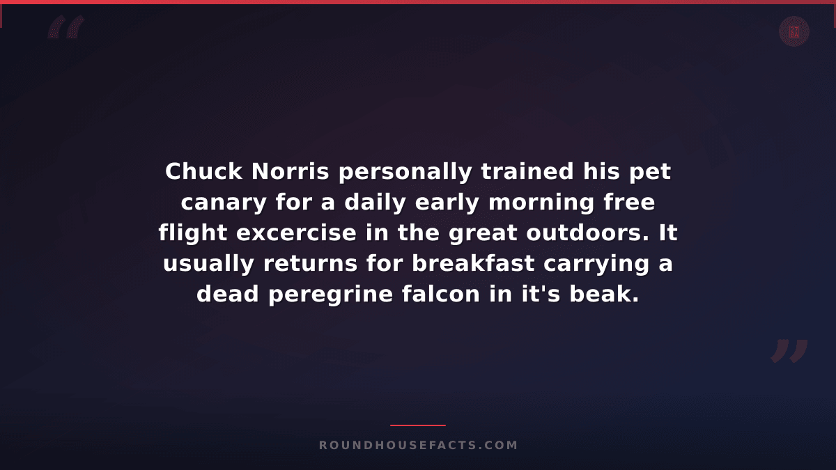 Chuck Norris Fact — Chuck Norris personally trained his pet canary for a daily e
