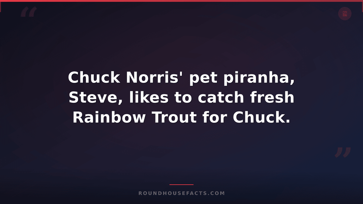 Chuck Norris Fact — Chuck Norris' pet piranha, Steve, likes to catch fresh Rainb