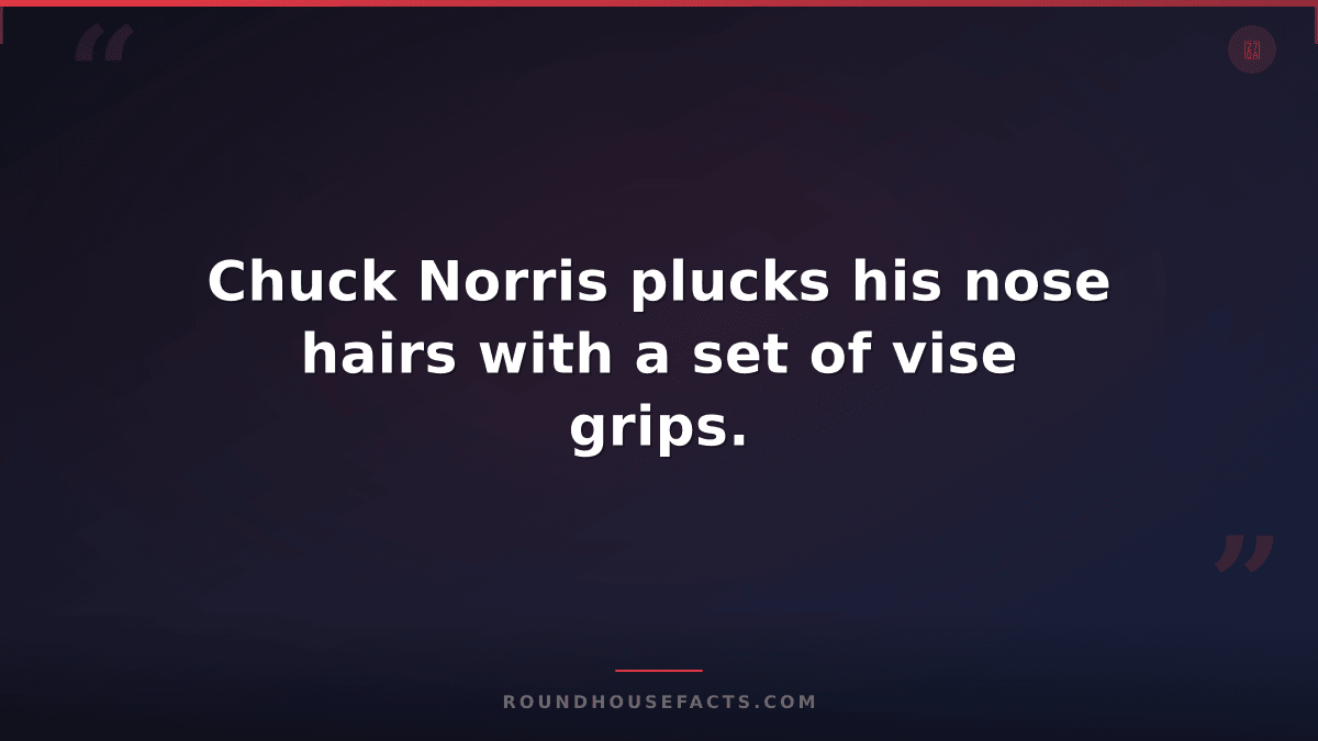 Chuck Norris Fact — Chuck Norris plucks his nose hairs with a set of vise grips.