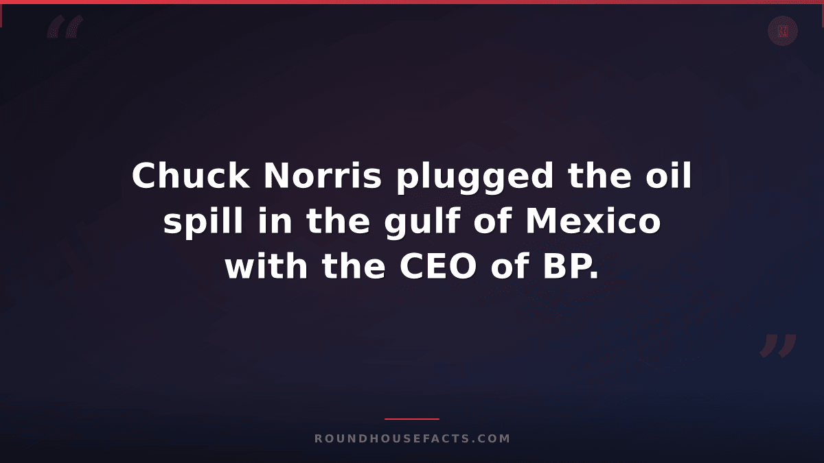 Chuck Norris Fact — Chuck Norris plugged the oil spill in the gulf of Mexico wit