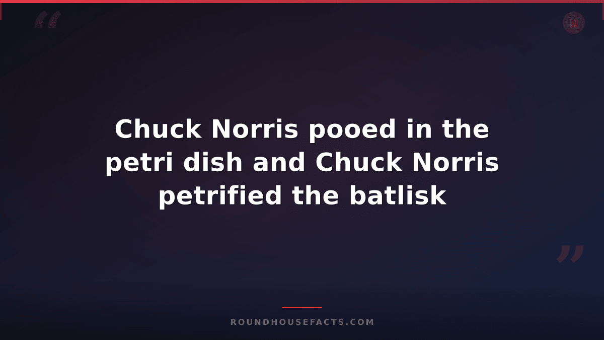 Chuck Norris Fact — Chuck Norris pooed in the petri dish and Chuck Norris petrif