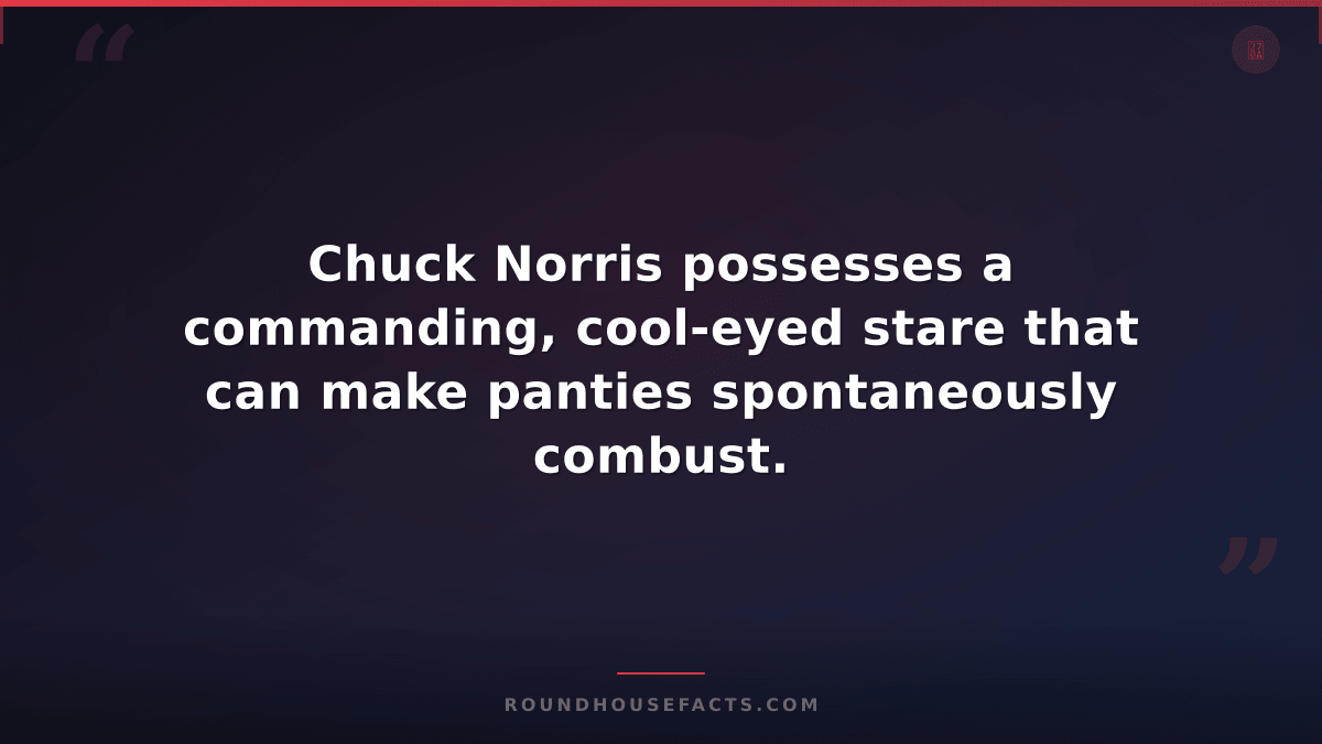Chuck Norris Fact — Chuck Norris possesses a commanding, cool-eyed stare that ca