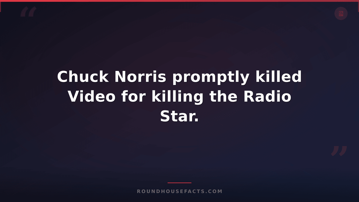 Chuck Norris Fact — Chuck Norris promptly killed Video for killing the Radio Sta