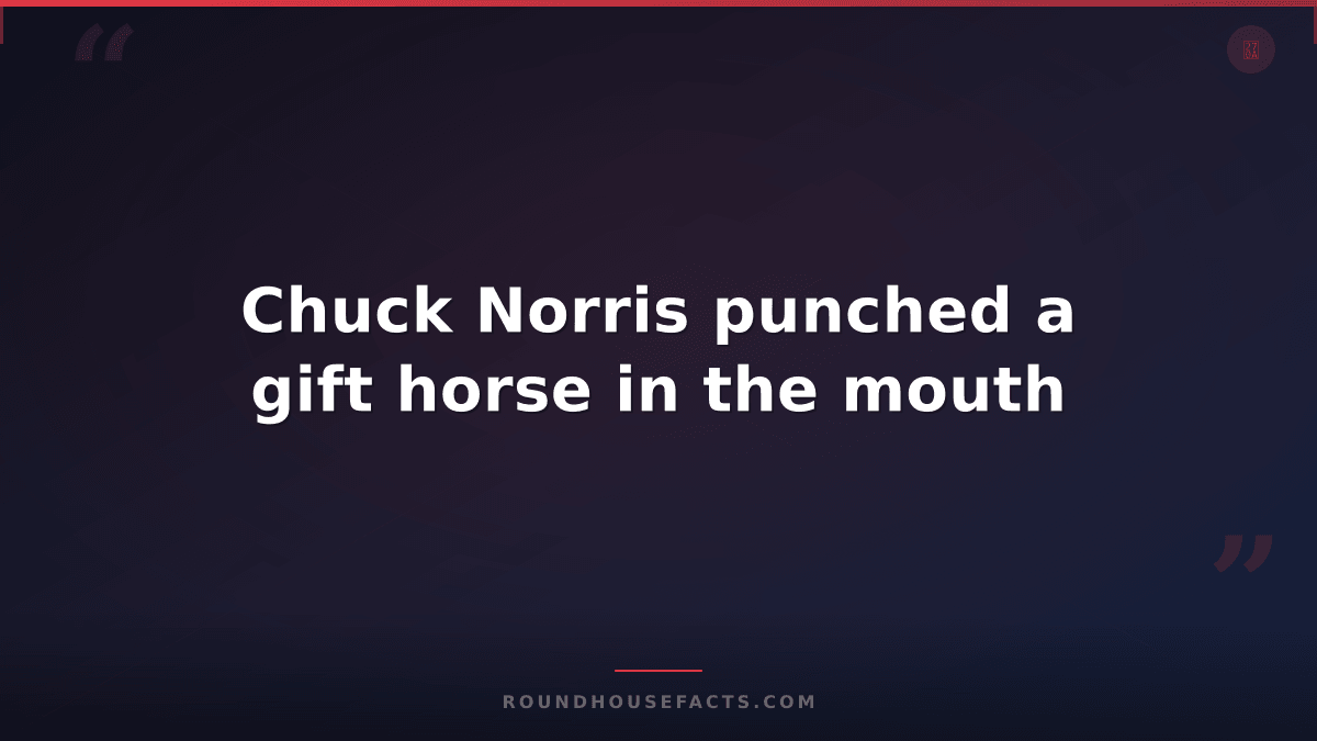 Chuck Norris Fact — Chuck Norris punched a gift horse in the mouth