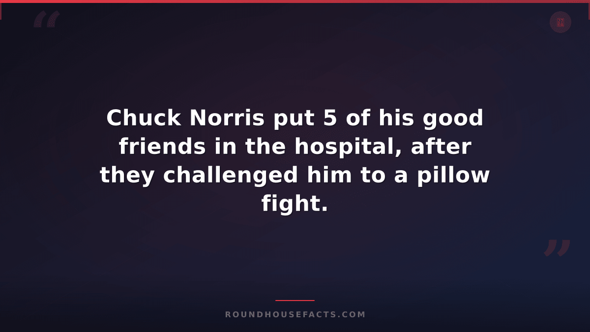 Chuck Norris Fact — Chuck Norris put 5 of his good friends in the hospital, afte