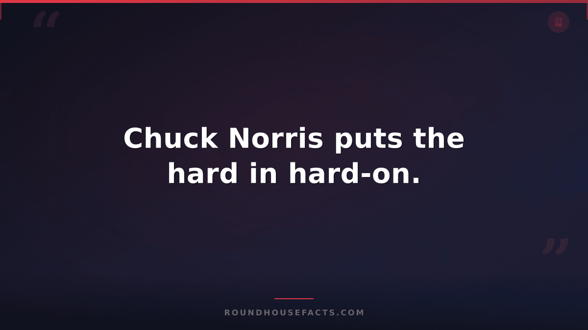 Chuck Norris Fact — Chuck Norris puts the hard in hard-on.