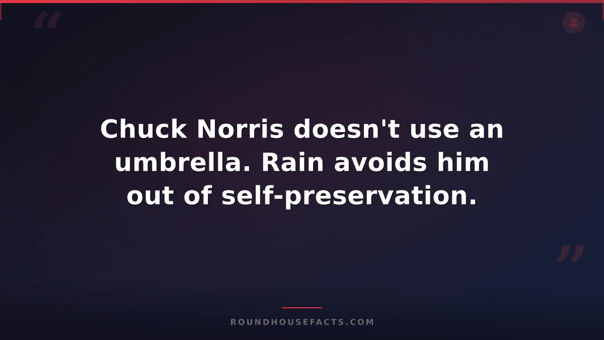 Chuck Norris Fact — Chuck Norris doesn't use an umbrella. Rain avoids him out of