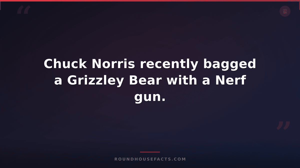 Chuck Norris Fact — Chuck Norris recently bagged a Grizzley Bear with a Nerf gun