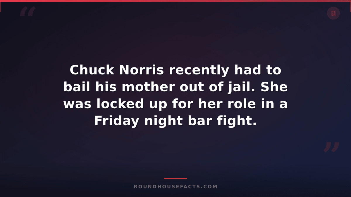 Chuck Norris Fact — Chuck Norris recently had to bail his mother out of jail. Sh