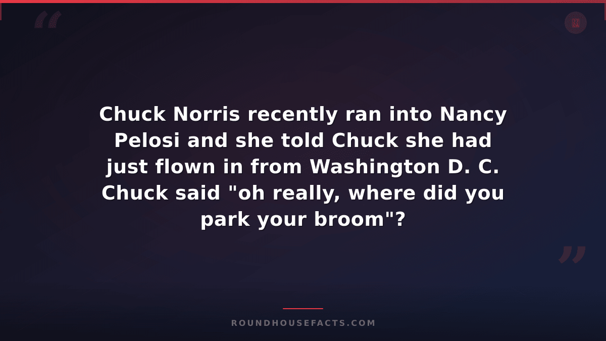 Chuck Norris Fact — Chuck Norris recently ran into Nancy Pelosi and she told Chu