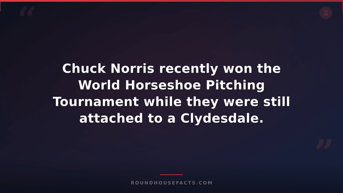 Chuck Norris Fact — Chuck Norris recently won the World Horseshoe Pitching Tourn