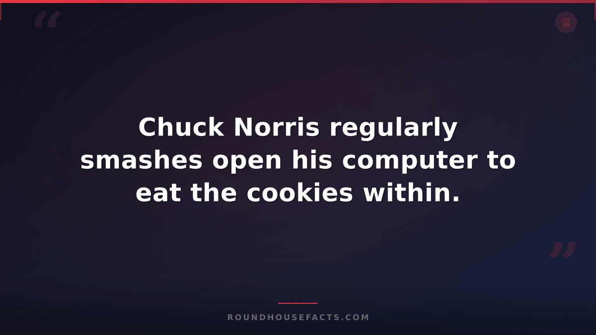Chuck Norris Fact — Chuck Norris regularly smashes open his computer to eat the