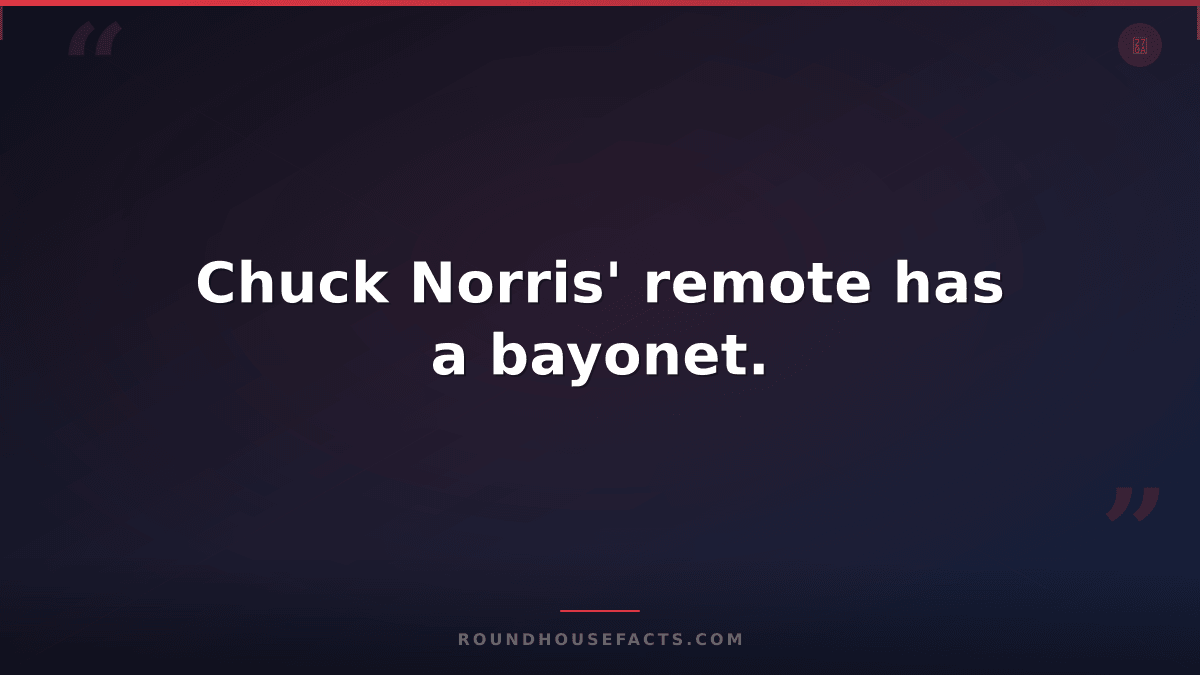 Chuck Norris Fact — Chuck Norris' remote has a bayonet.