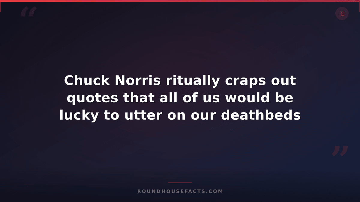 Chuck Norris Fact — Chuck Norris ritually craps out quotes that all of us would