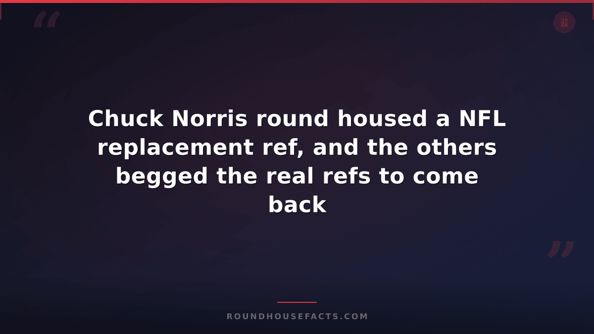 Chuck Norris Fact — Chuck Norris round housed a NFL replacement ref, and the oth