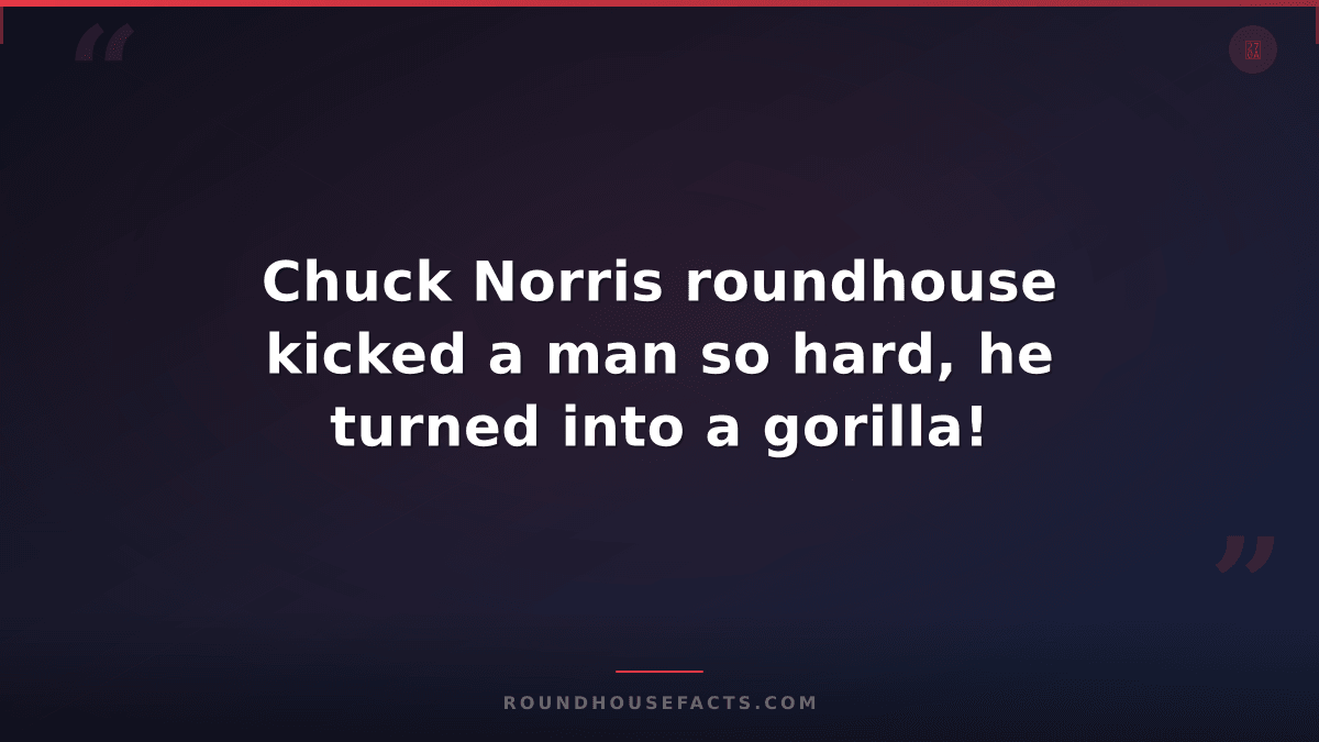 Chuck Norris Fact — Chuck Norris roundhouse kicked a man so hard, he turned into