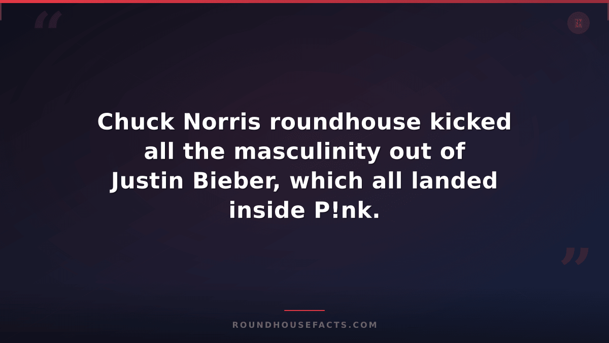 Chuck Norris Fact — Chuck Norris roundhouse kicked all the masculinity out of Ju