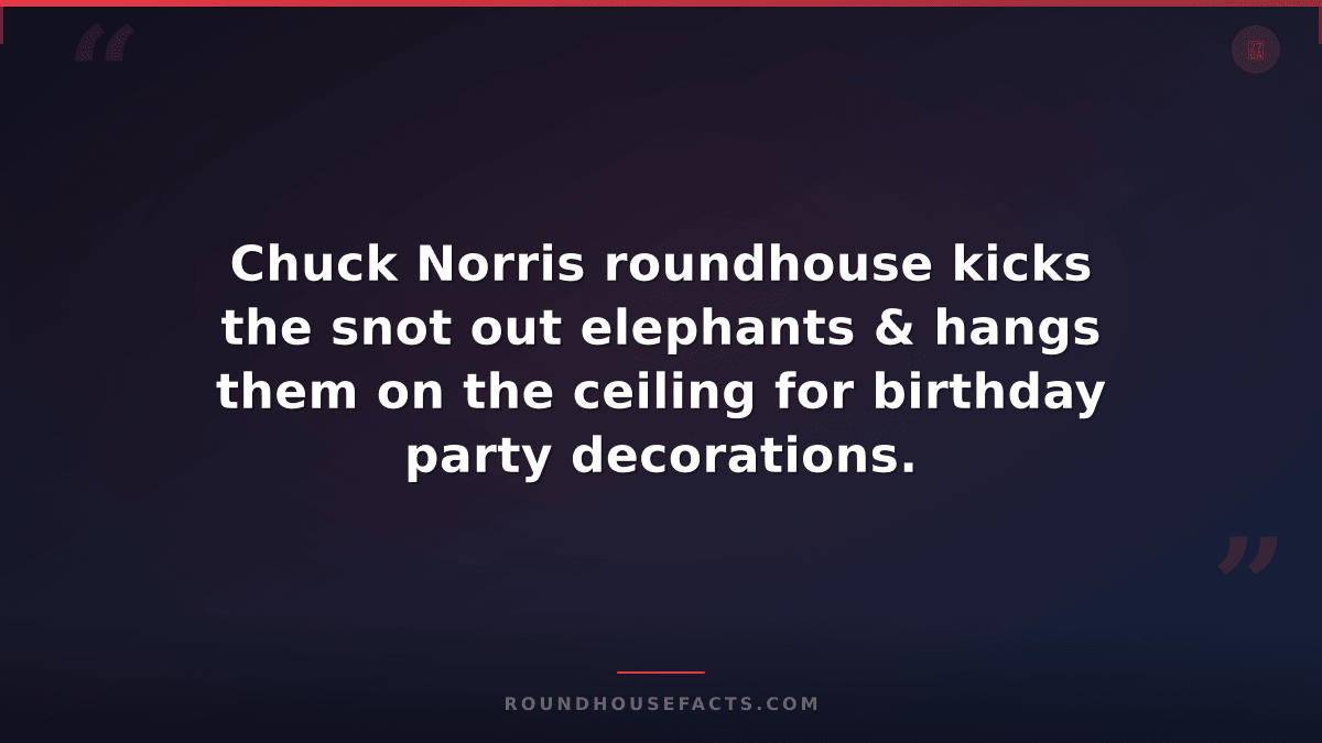 Chuck Norris Fact — Chuck Norris roundhouse kicks the snot out elephants & hangs