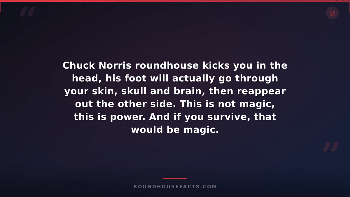 Chuck Norris Fact — Chuck Norris roundhouse kicks you in the head, his foot will