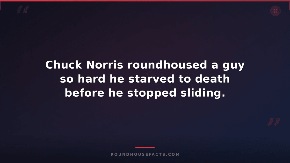 Chuck Norris Fact — Chuck Norris roundhoused a guy so hard he starved to death b