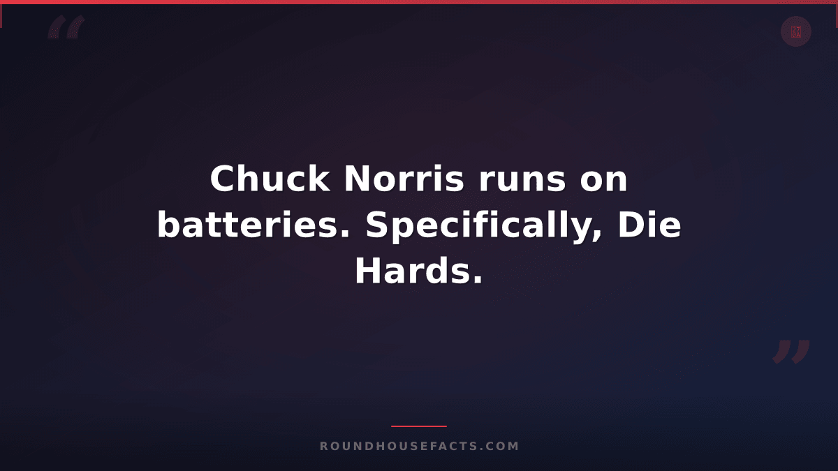 Chuck Norris Fact — Chuck Norris runs on batteries. Specifically, Die Hards.