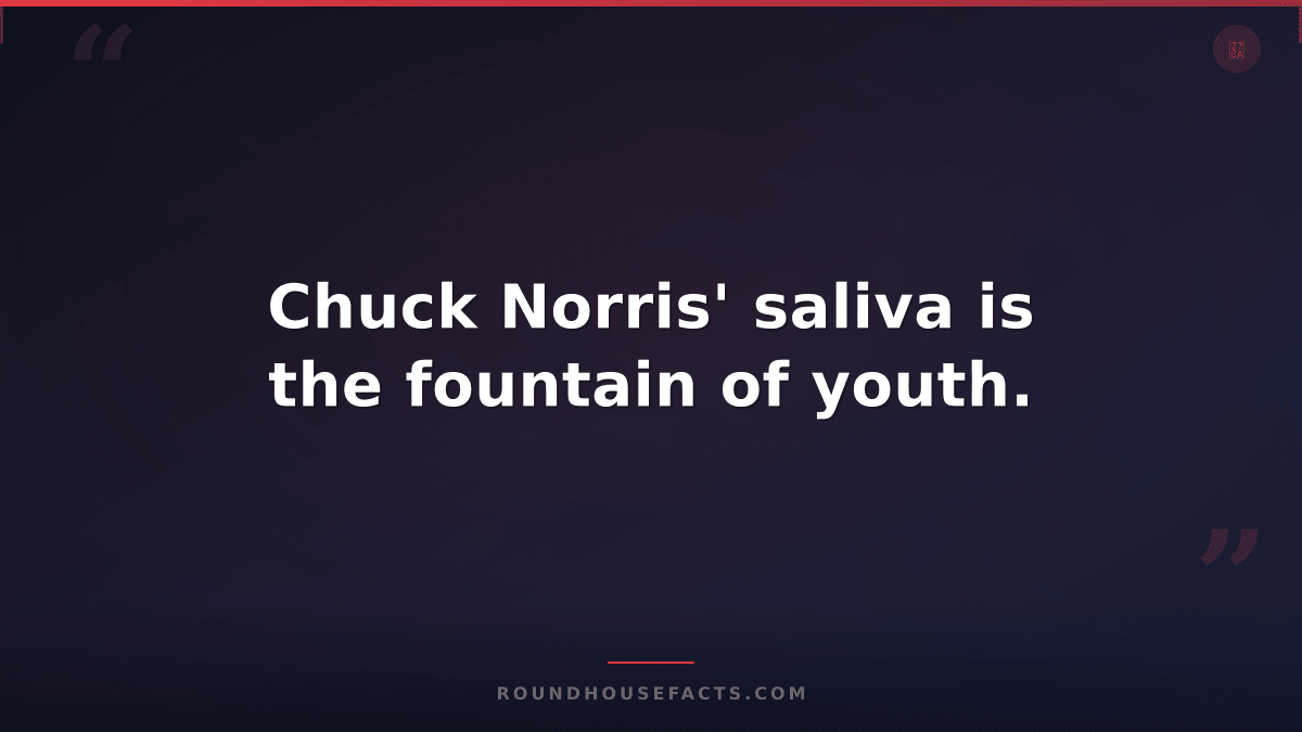 Chuck Norris Fact — Chuck Norris' saliva is the fountain of youth.
