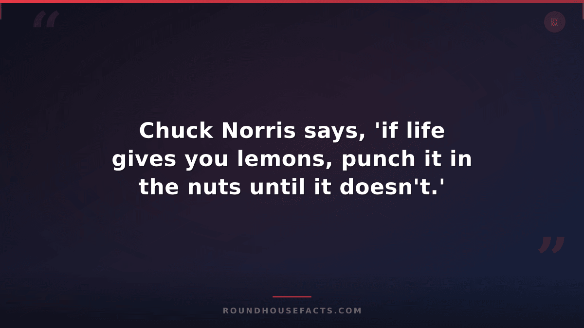 Chuck Norris Fact — Chuck Norris says, 'if life gives you lemons, punch it in th