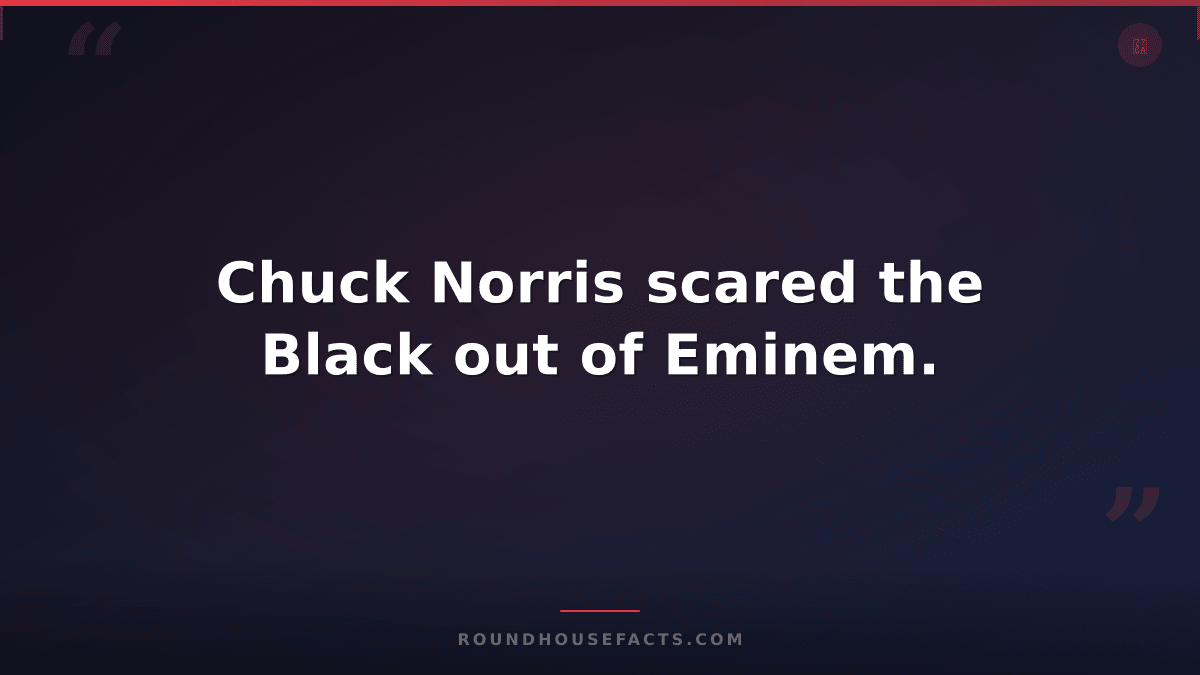 Chuck Norris Fact — Chuck Norris scared the Black out of Eminem.