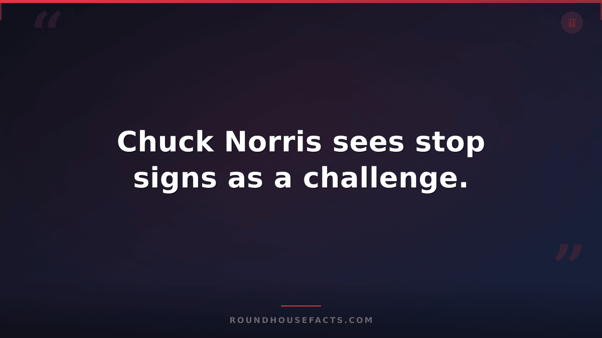 Chuck Norris Fact — Chuck Norris sees stop signs as a challenge.