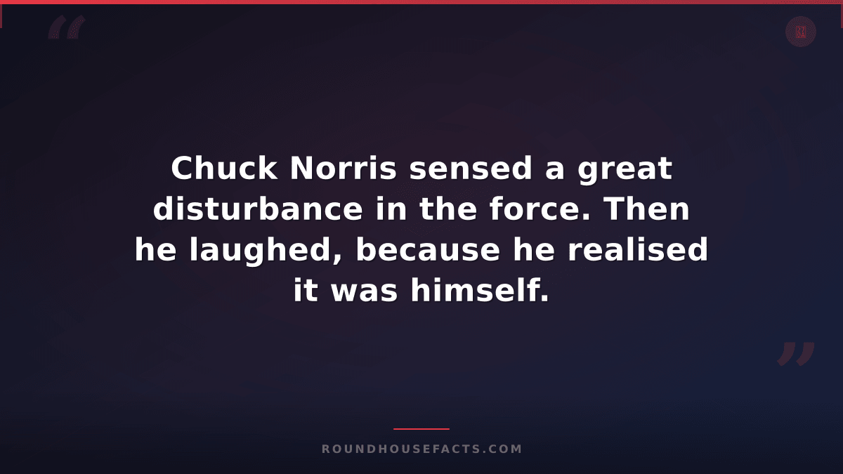 Chuck Norris Fact — Chuck Norris sensed a great disturbance in the force. Then h