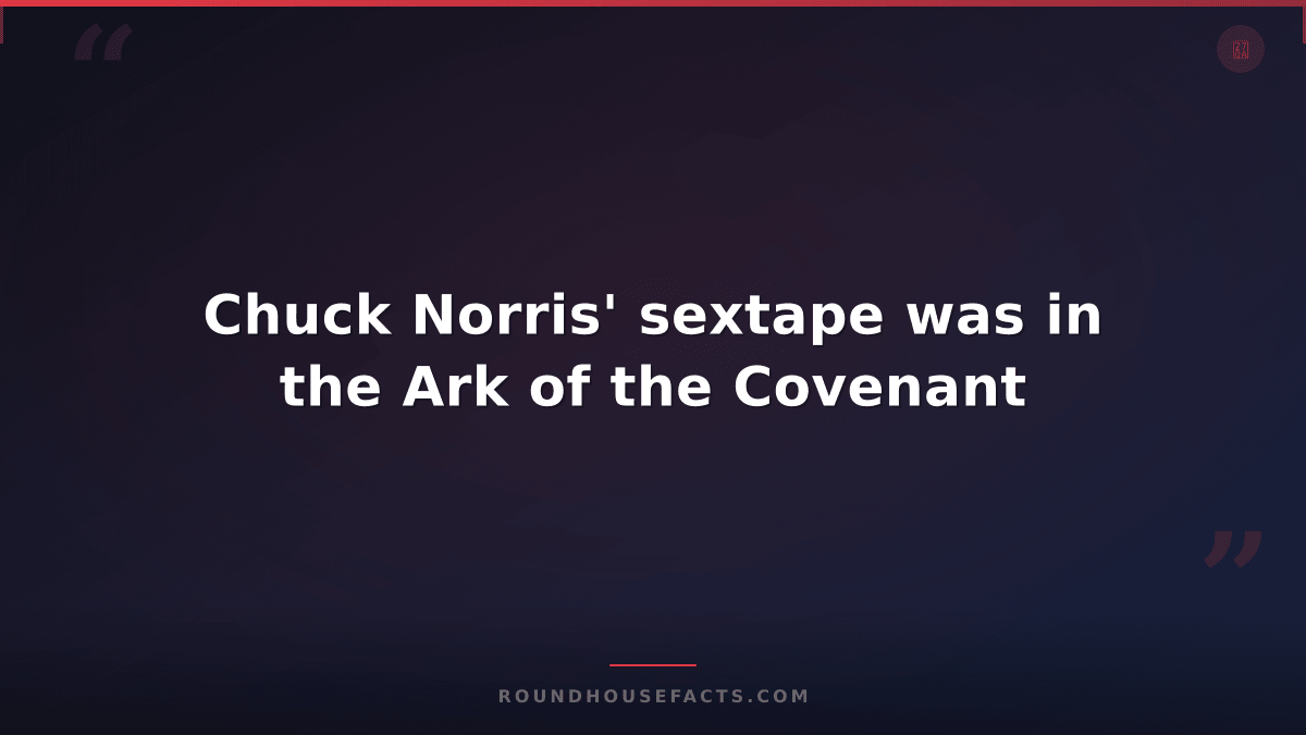 Chuck Norris Fact — Chuck Norris' sextape was in the Ark of the Covenant