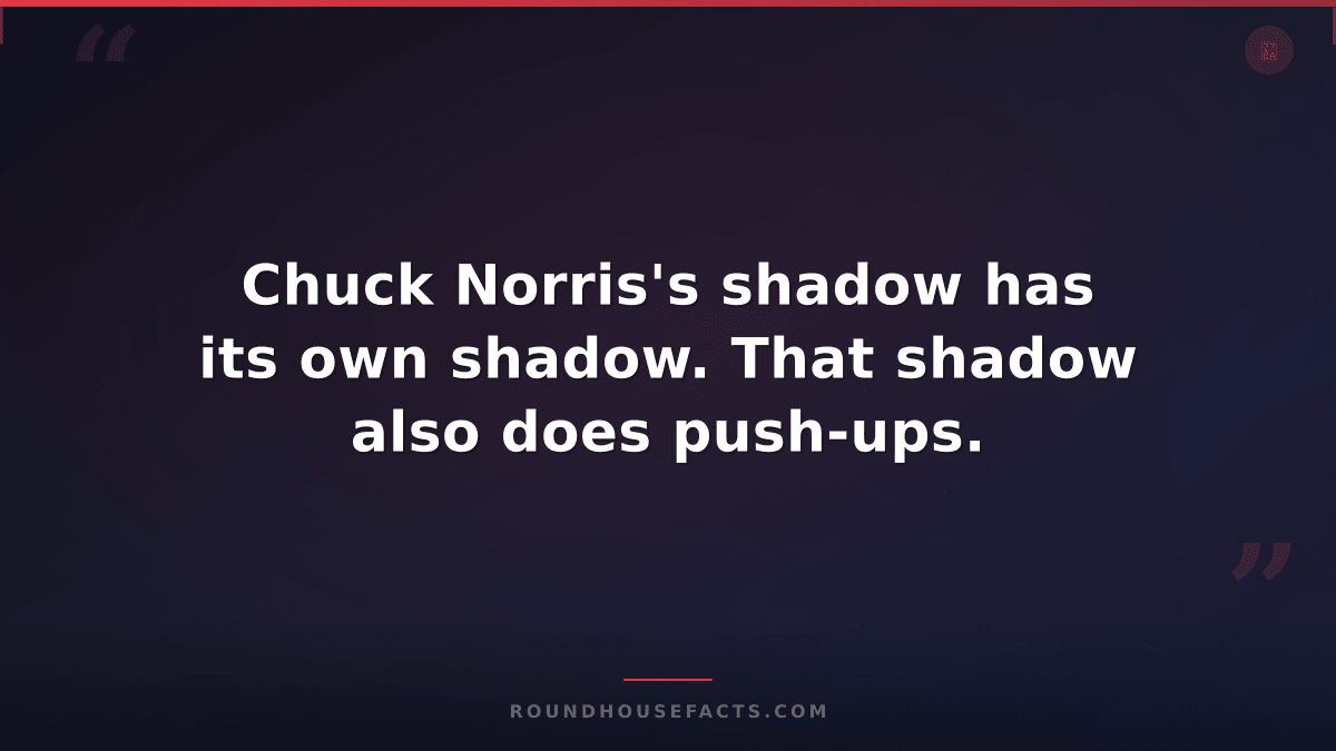 Chuck Norris Fact — Chuck Norris's shadow has its own shadow. That shadow also d