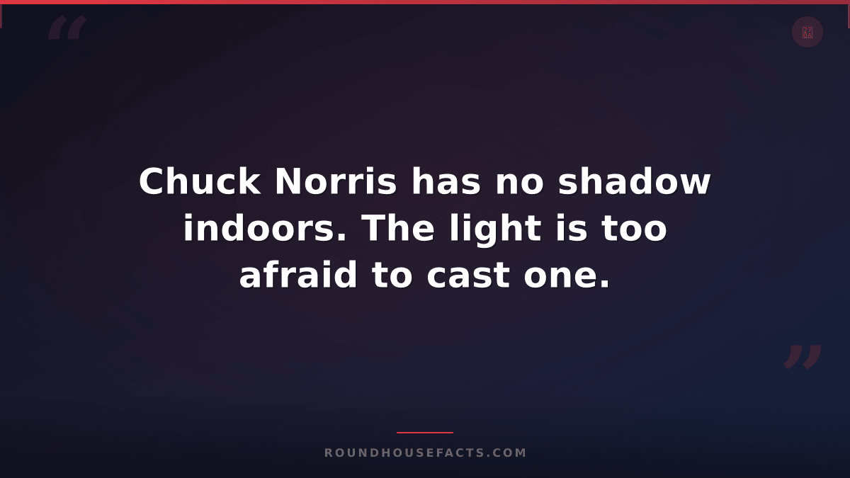 Chuck Norris Fact — Chuck Norris has no shadow indoors. The light is too afraid