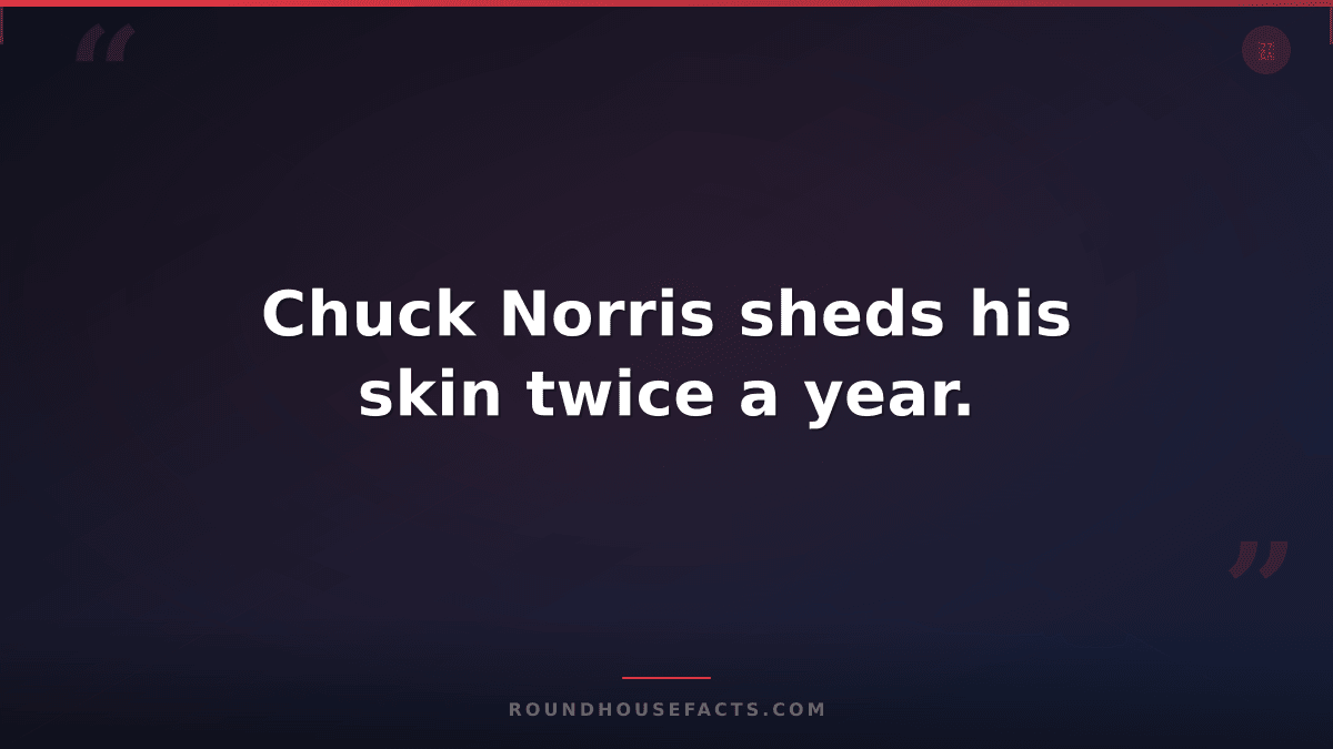 Chuck Norris Fact — Chuck Norris sheds his skin twice a year.