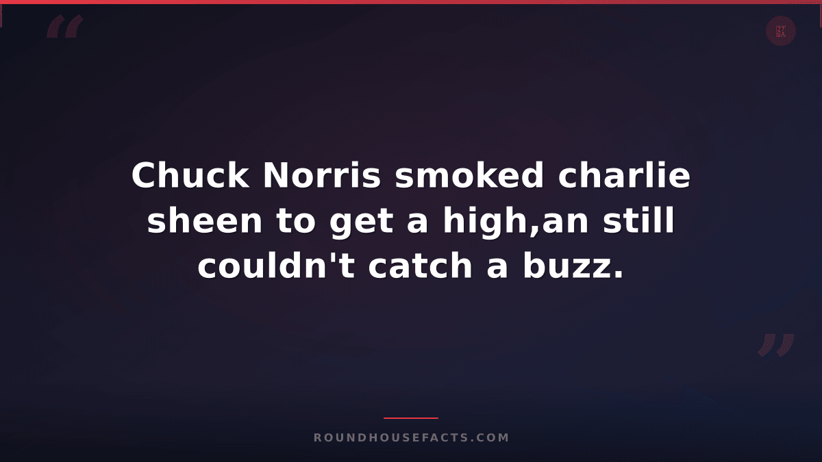 Chuck Norris Fact — Chuck Norris smoked charlie sheen to get a high,an still cou