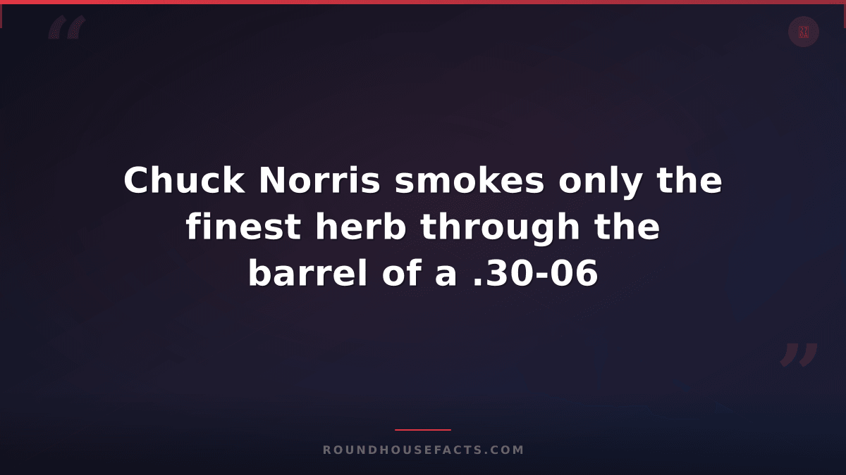 Chuck Norris Fact — Chuck Norris smokes only the finest herb through the barrel