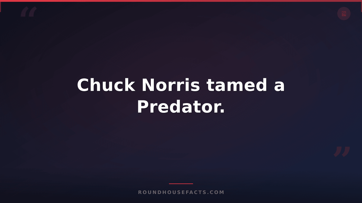 Chuck Norris Fact — Chuck Norris tamed a Predator.