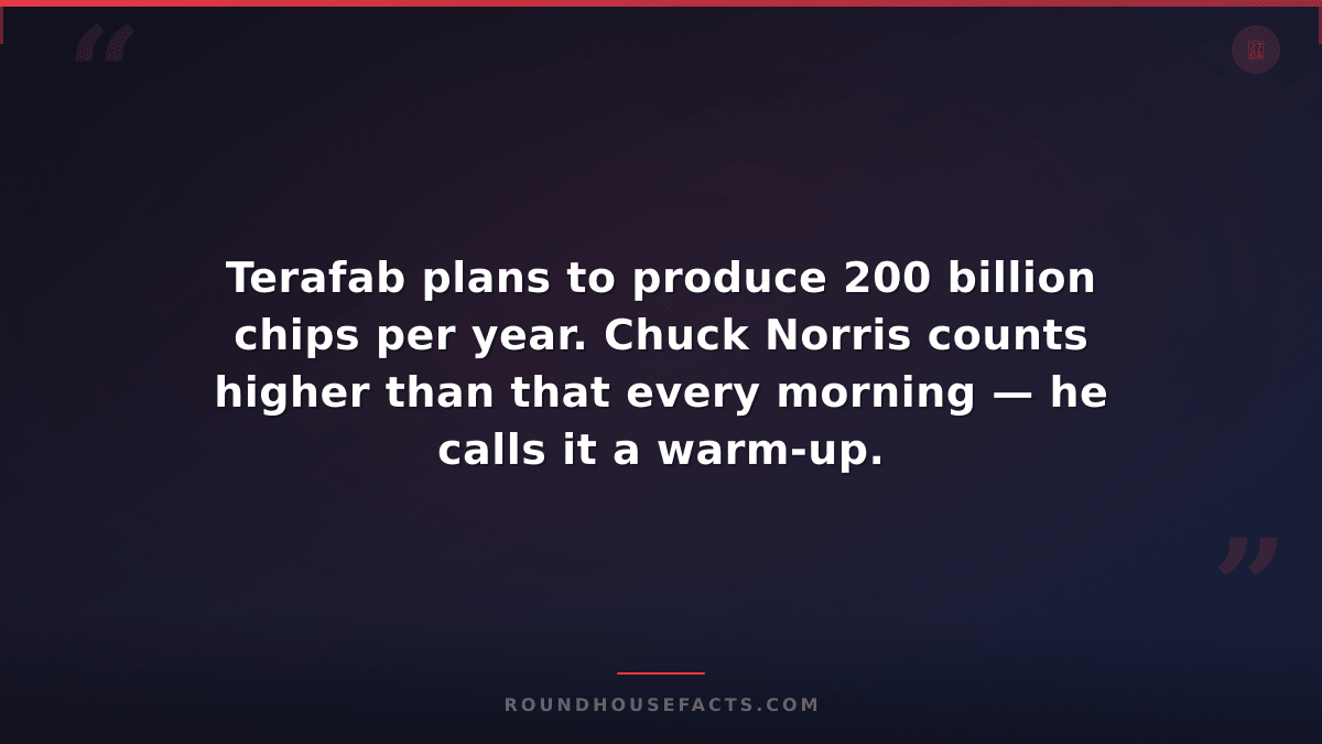 Chuck Norris Fact — Terafab plans to produce 200 billion chips per year. Chuck N