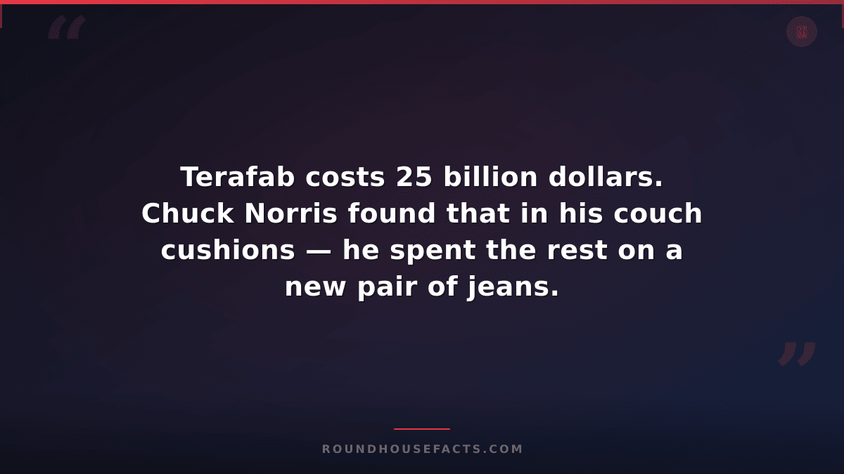 Chuck Norris Fact — Terafab costs 25 billion dollars. Chuck Norris found that in