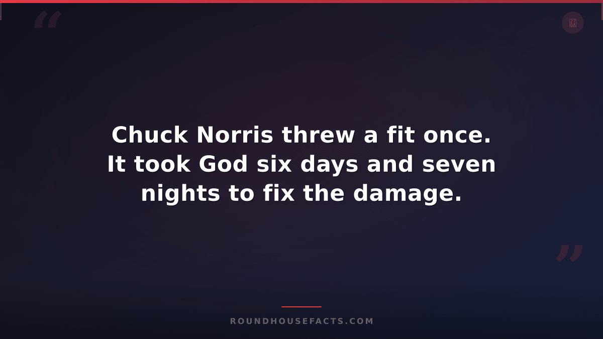Chuck Norris Fact — Chuck Norris threw a fit once. It took God six days and seve