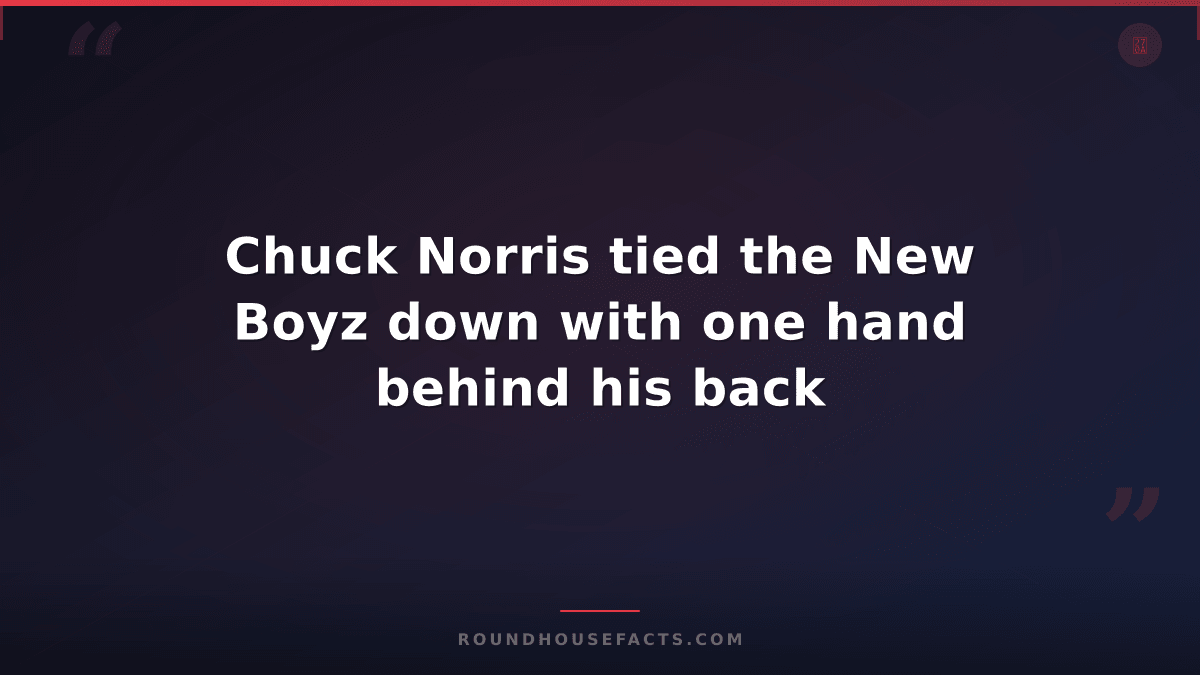 Chuck Norris Fact — Chuck Norris tied the New Boyz down with one hand behind his