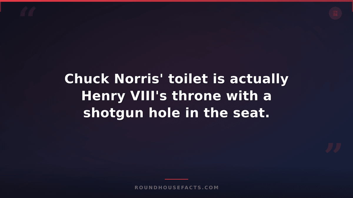 Chuck Norris Fact — Chuck Norris' toilet is actually Henry VIII's throne with a