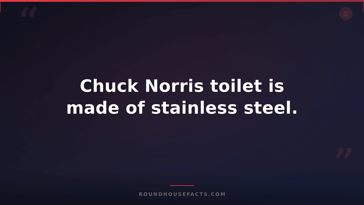 Chuck Norris Fact — Chuck Norris toilet is made of stainless steel.