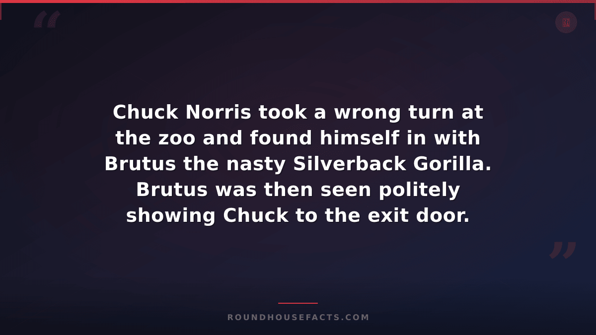 Chuck Norris Fact — Chuck Norris took a wrong turn at the zoo and found himself